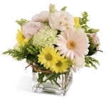 /images/ftd09white/C20-4159^1lg.jpg Floral Festival Bouquet